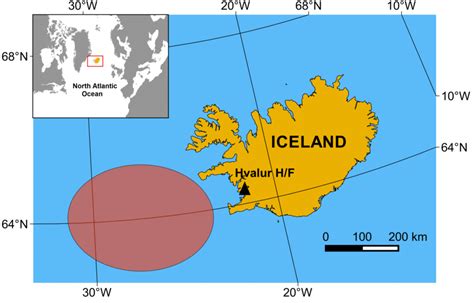 Area of fin whale catches (red ellipse) and of the whaling factory... | Download Scientific Diagram