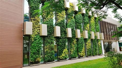 Jasa Pembuatan Taman Vertikal Berpengalaman di Jogja - GoGreen Garden