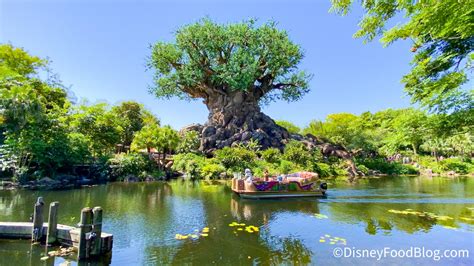 animal kingdom asia | the disney food blog