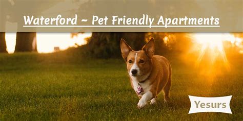 Waterford Pet Friendly Apartments - Yesurs.com (703) 745-7450