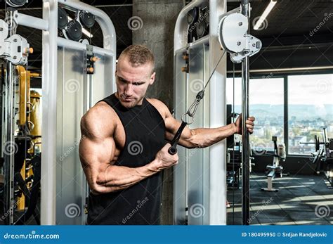 Young Muscular Sweaty Fit Man Doing Triceps Workout Training in the Gym on Cable Machine for Big ...