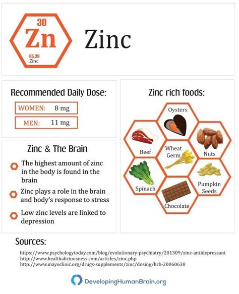 17 Essential Vitamins And Minerals For Brain Function | Zinc rich foods ...