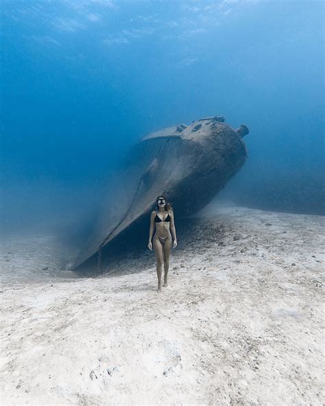 This is a photograph taken by the award- winning underwater photographer Jason Washington and ...