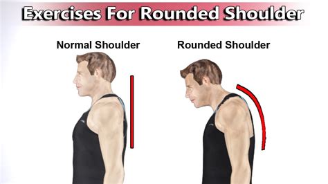 5 Best Exercises To Correct Rounded Shoulders - YouTube