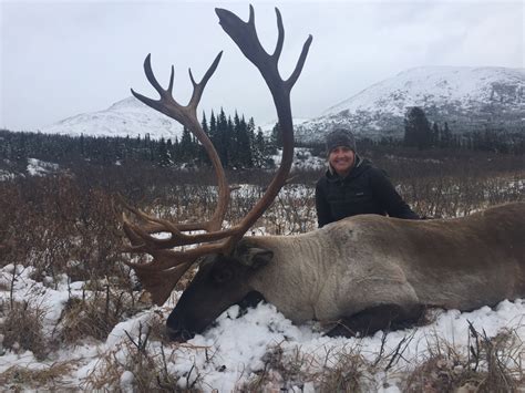 Mountain Caribou Hunts in Remote British Columbia