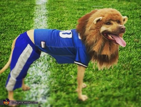 Detroit Lions Mascot Dog's Costume | No-Sew DIY Costumes