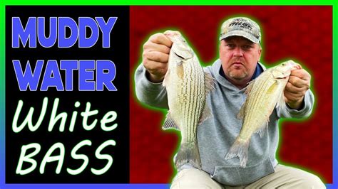 Fishing A Muddy RIVER | WHITE BASS - YouTube