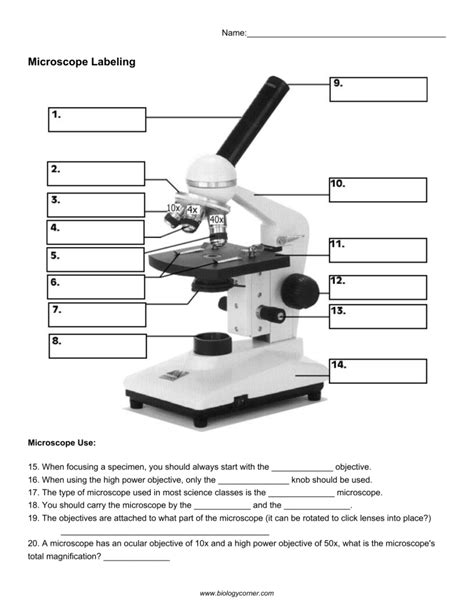 Microscope Parts Labeling Worksheet