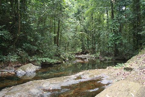 Kanuku Mountains: Protected Area (Guyana) | LAC Geo