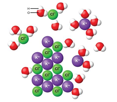 Electrolitos | Química para Mayores | IACE association