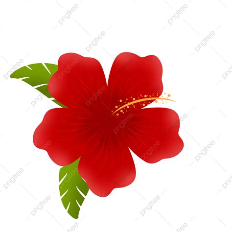 Flower Drawing Vector PNG, Vector, PSD, And Clipart With