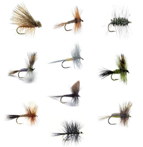 Trout Fly Fishing Patterns | Free Patterns