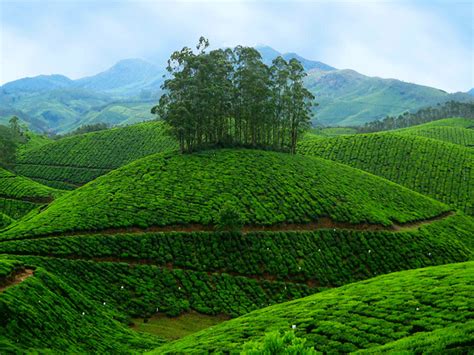 10 Top Places to Visit in Kerala | Best Tourist Destinations in Kerala