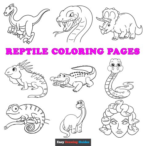 Coloring Pages Of Reptiles And Amphibians