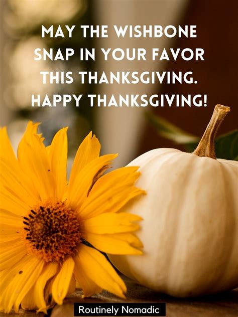 Funny Thanksgiving Quotes, Wishes and Sayings for 2021 | Routinely Nomadic | Thanksgiving quotes ...