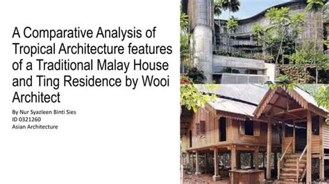 A comparative analysis of tropical architecture features