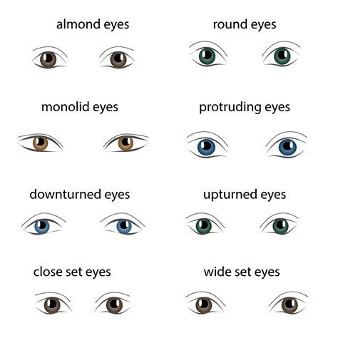 Your Eye’s Characteristics Can Reveal Insights About Your Personality