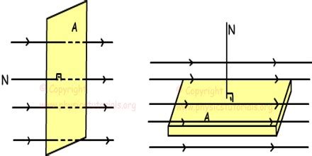 Magnetic Flux - Assignment Point