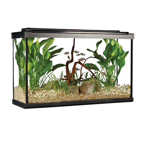 Aquarium équipé 29 haut Fluval avec éclairage à DEL, 110 L (29 gal US)