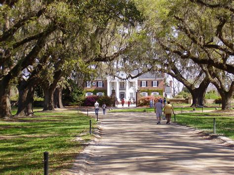 Historical Tours: Boone Hall Plantation