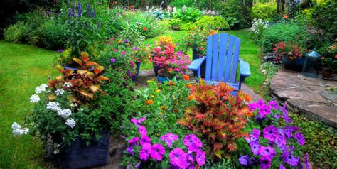 23 Best Summer Flowers for Your Garden - Pretty Summer Blooming Plants