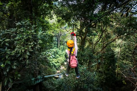 Things to Do in Costa Rica's Monteverde Cloud Forest with Photos and ...