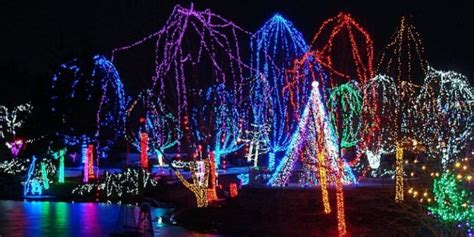 Cleveland Zoo Christmas Lights | Decoratingspecial.com