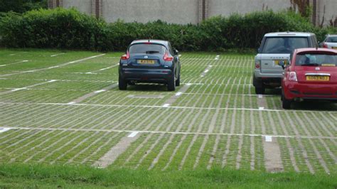 For domestic driveways there are options for both plastic and concrete grass reinforcement ...