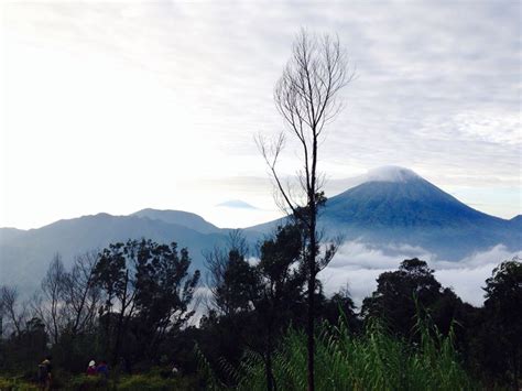 Bukit Sikunir, Dieng. | Natural landmarks, Landmarks, Sunrise