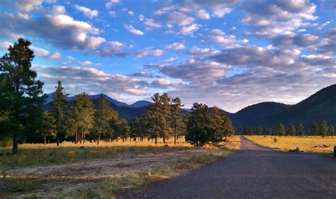 City of Flagstaff Official Website - Buffalo Park Loop | Arizona hiking, Arizona adventure, Best ...