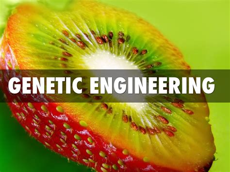 [DIAGRAM] Diagram Of Genetic Engineering - MYDIAGRAM.ONLINE