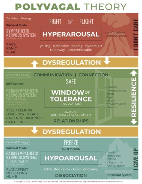 Polyvagal Theory Infographic - Charissa Fry - Charissa Fry Counseling