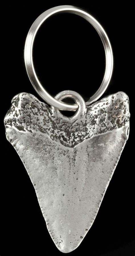 Replica Megalodon Tooth Metal Keychain For Sale - FossilEra.com