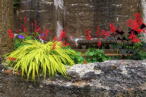 Crane Estate Gardens Photograph by Michael Hubley | Fine Art America