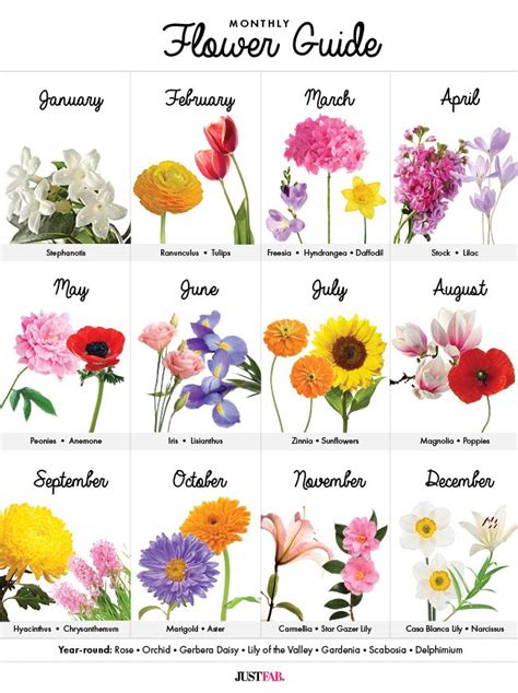 Flower birth date meaning | Flower