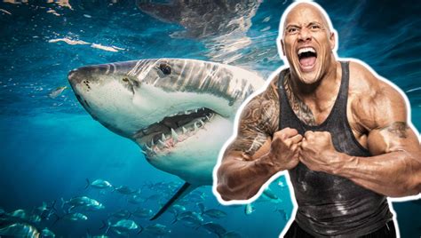 Dwayne 'The Rock' Johnson Teams Up With Discovery For A VERY Special Shark Week - Daily Soap Dish