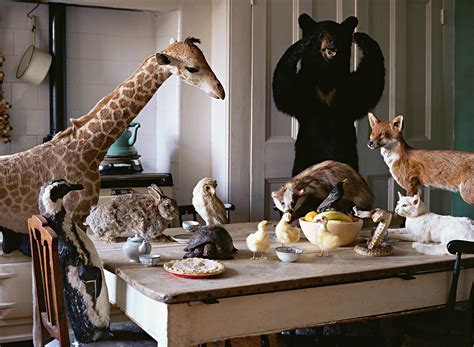 The secret life of taxidermy - Architectural Review