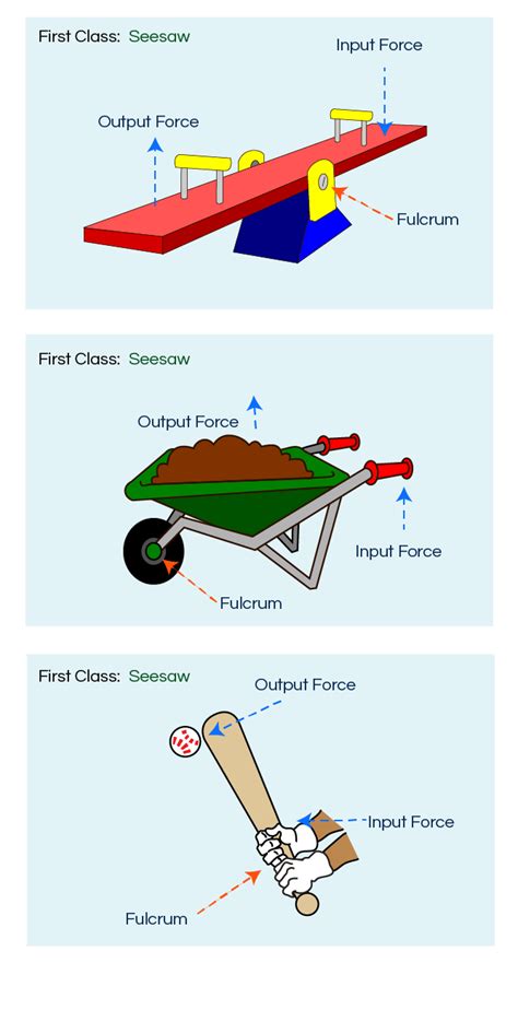 Third Class Lever Examples