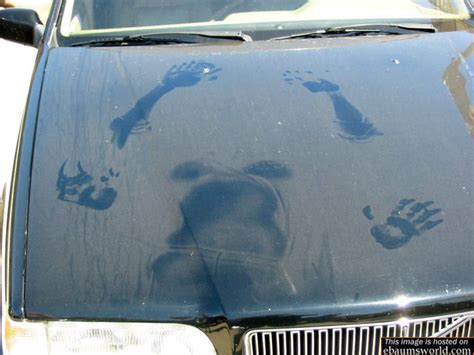 Dirty Car Art - Gallery | eBaum's World