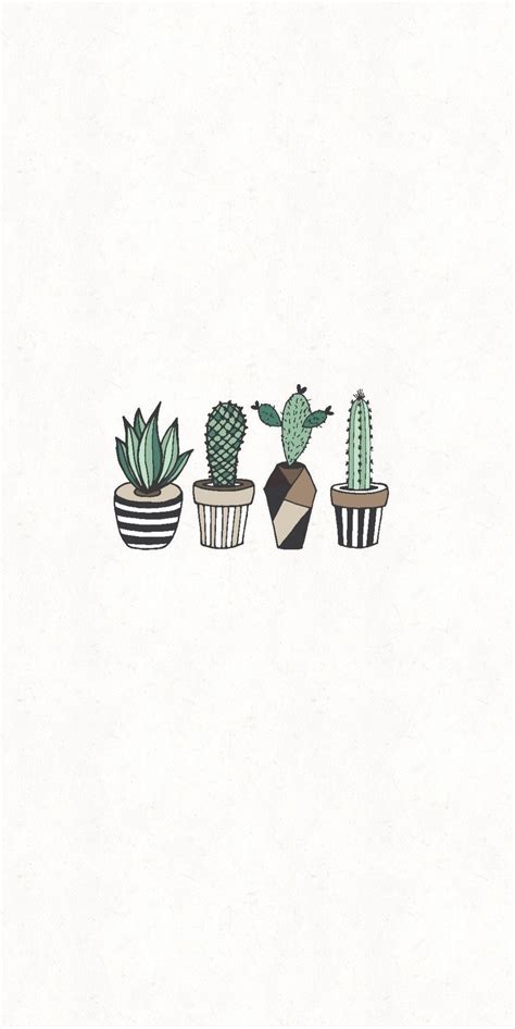 Aesthetic Cactus Profile Pic Wallpapers - Wallpaper Cave