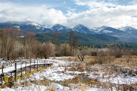 Montana Winter Photograph by Amy Sorvillo