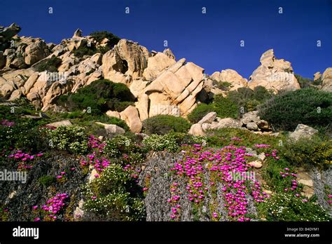 italy, sardinia, arcipelago della maddalena national park, la Stock Photo - Alamy