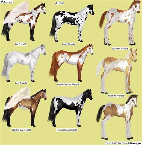 How to Distinguish Horse Color by Name: 9 Steps (with Pictures)