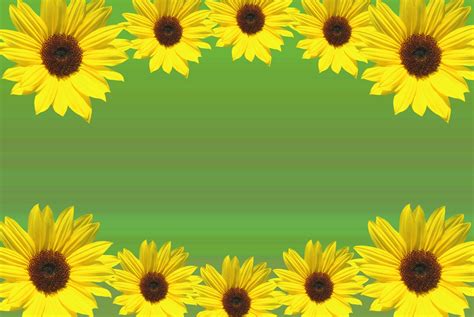 Printable Sunflower Border - Printable Word Searches