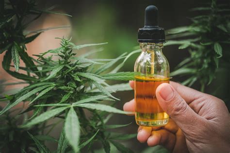 CBD tinctures: 5 things every consumer should know | GreenState | GreenState