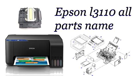 Epson Printer All Parts Name | Reviewmotors.co