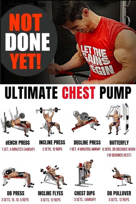 5 Day Chest Workout Gym Exercises for Gym | Fitness and Workout ABS ...