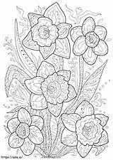 Narcissus Doodle coloring Page sketch template