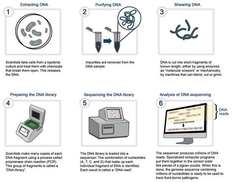 What is the Human Genome Project? - Civilsdaily