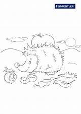 Hedgehog Coloring Page Den Printable sketch template